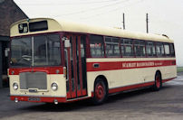 POD825H with Scarlet Band