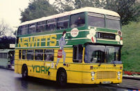 PWY38W in advertising livery for Newitts