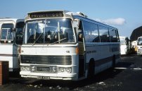 RDV435H in National white coach livery