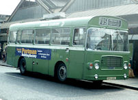 RPH105L in 1975