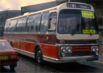 SBD221M with Battrick & Brown