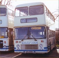 SFJ104R with Tally Ho!