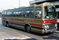 SFJ116R with Golden Boy