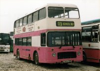 TAH276W with Western Greyhound