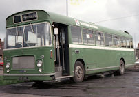 TUO255J in 1979