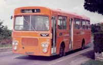 UTD293H in 1980
