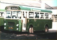 VOD124K in Tilling livery with NBC fleetnames