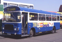 WAE294T in Teeside Motor Services livery