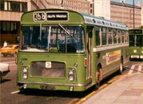 XAE497H in NBC green with Badgerline vinyls