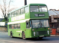 XRR176S in 1981
