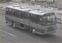 YGK764G with Golden Miller