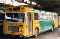 YHY592J in Badgerline livery