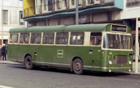 YKB366J in M.P.T.E. livery