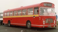YNV205J with Wright