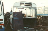 YNV205J in 1991