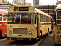 YNV205J in 1972